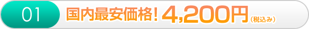 日本最安!4,200円(税込み)